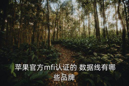  蘋果官方mfi認(rèn)證的 數(shù)據(jù)線有哪些品牌