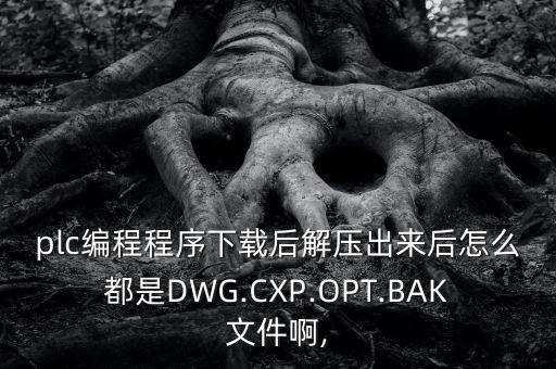 plc編程程序下載后解壓出來后怎么都是DWG.CXP.OPT.BAK文件啊,