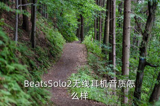 beats solo2數(shù)據(jù),Beats Solo2 Wireless