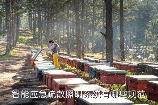 自動化設備照明標準有哪些,電氣自動化設計有哪些標準?