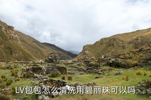 品牌包包清洗自動化設(shè)備,包包怎么洗?四種方法可供參考
