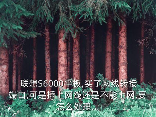  聯(lián)想S6000平板,買了網(wǎng)線轉(zhuǎn)接端口,可是插上網(wǎng)線還是不能上網(wǎng),要怎么處理...