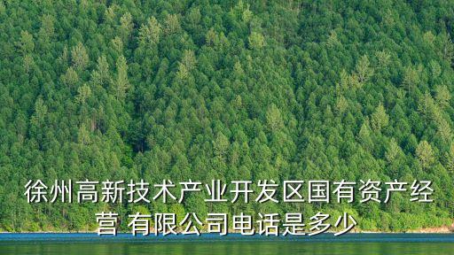  徐州高新技術(shù)產(chǎn)業(yè)開發(fā)區(qū)國有資產(chǎn)經(jīng)營 有限公司電話是多少