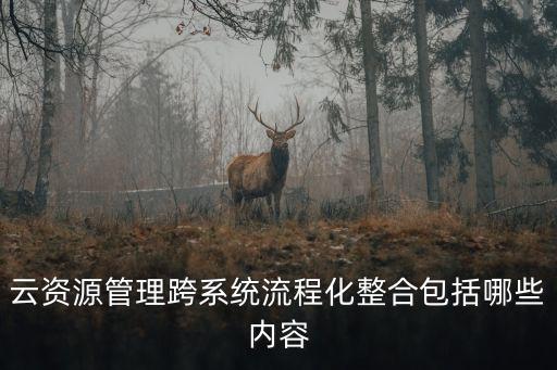 華邦云拜訪數(shù)據(jù)收集