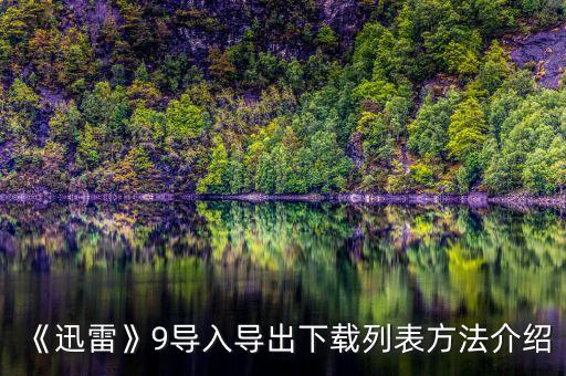 《迅雷》9導(dǎo)入導(dǎo)出下載列表方法介紹