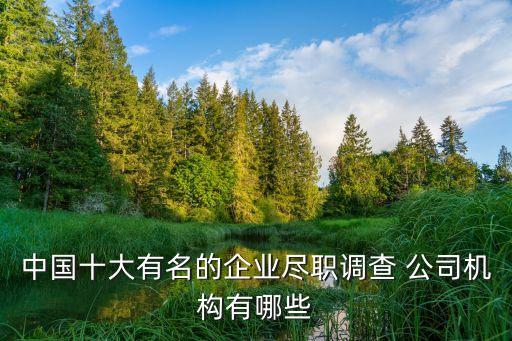 中國(guó)十大有名的企業(yè)盡職調(diào)查 公司機(jī)構(gòu)有哪些