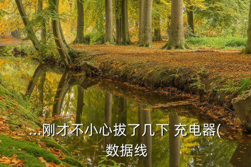 ...剛才不小心拔了幾下 充電器( 數(shù)據(jù)線