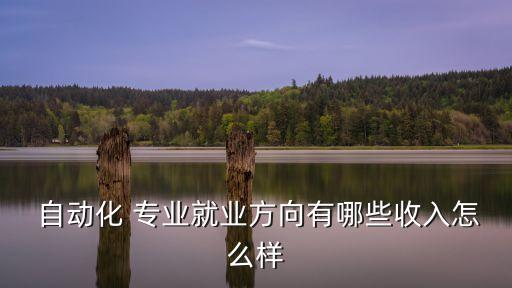  自動化 專業(yè)就業(yè)方向有哪些收入怎么樣