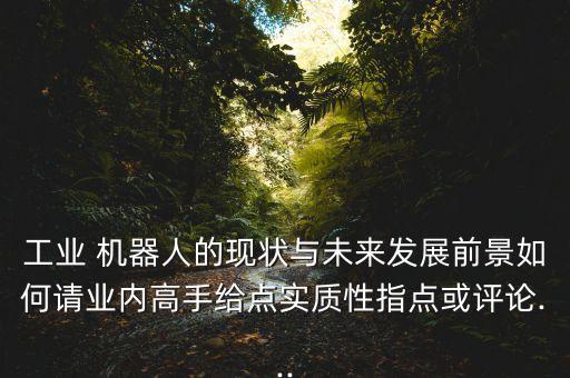 工業(yè) 機(jī)器人的現(xiàn)狀與未來發(fā)展前景如何請業(yè)內(nèi)高手給點實質(zhì)性指點或評論...