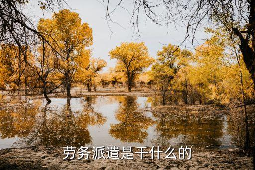 勞務(wù)派遣是干什么的