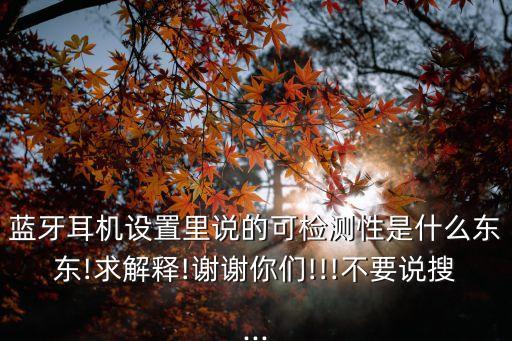 藍(lán)牙耳機(jī)設(shè)置里說的可檢測性是什么東東!求解釋!謝謝你們!!!不要說搜...
