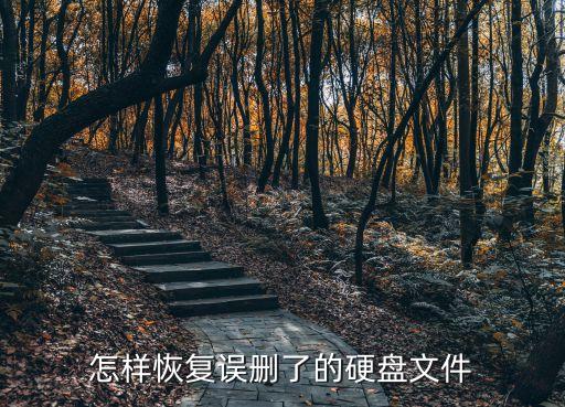 無(wú)敵硬盤數(shù)據(jù)恢復(fù)軟件,盤數(shù)可恢復(fù)多少?推薦幾款軟件