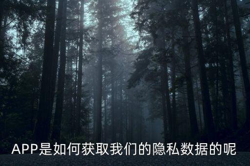 APP是如何獲取我們的隱私數(shù)據(jù)的呢