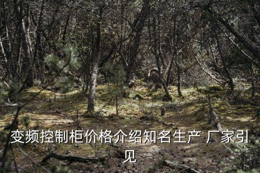 變頻控制柜價(jià)格介紹知名生產(chǎn) 廠家引見