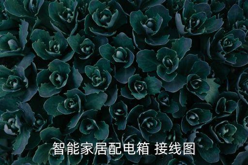 智能家居配電箱 接線圖