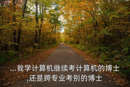 ...我學(xué)計算機繼續(xù)考計算機的博士,還是跨專業(yè)考別的博士