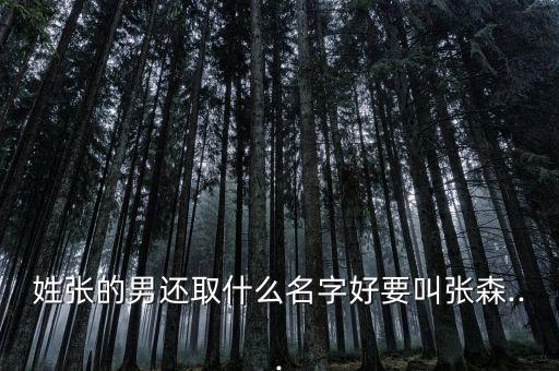 姓張的男還取什么名字好要叫張森...