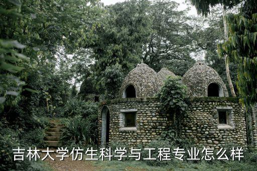 吉林大學(xué)仿生科學(xué)與工程專業(yè)怎么樣