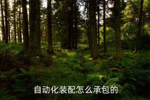  自動(dòng)化裝配怎么承包的