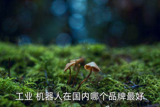 佛山市新鵬機(jī)器人技術(shù)有限公司