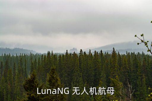 LunaNG 無人機航母