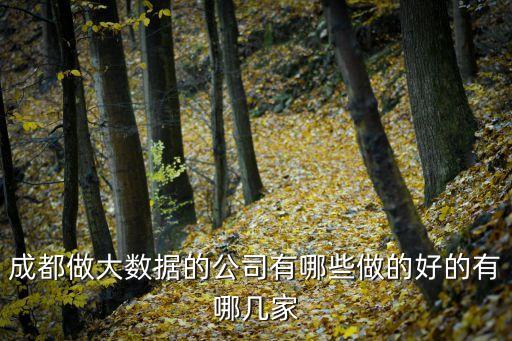 成都做大數(shù)據(jù)的公司有哪些做的好的有哪幾家