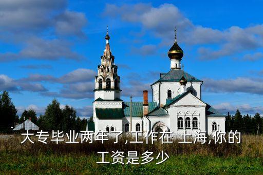 大專畢業(yè)兩年了,工作在 上海,你的 工資是多少