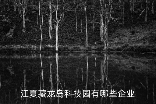 江夏藏龍島科技園有哪些企業(yè)