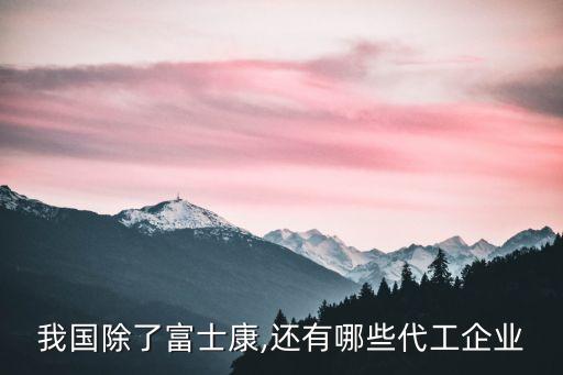 我國除了富士康,還有哪些代工企業(yè)