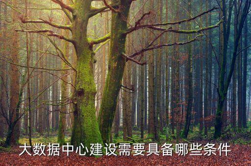 大數(shù)據(jù)中心建設(shè)需要具備哪些條件