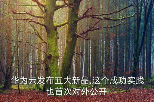  華為云發(fā)布五大新品,這個(gè)成功實(shí)踐也首次對外公開