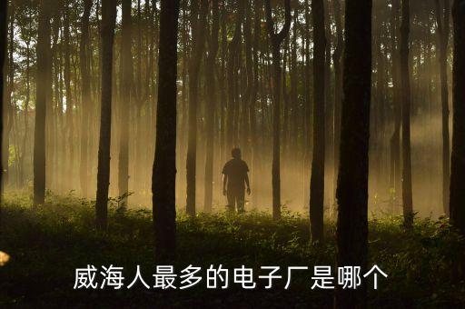 威海人最多的電子廠是哪個(gè)