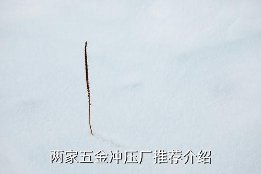 安徽自動化沖壓設(shè)備公司,汽車沖壓模具廠相關(guān)設(shè)備