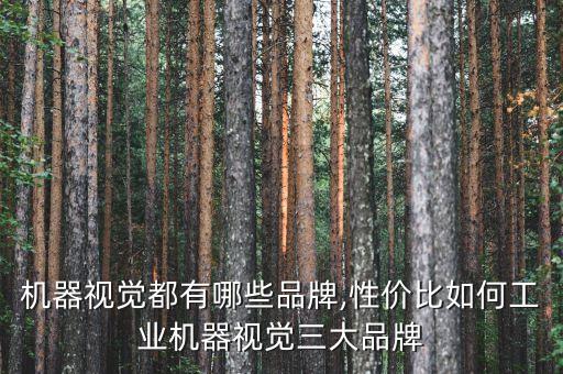 機器視覺都有哪些品牌,性價比如何工業(yè)機器視覺三大品牌