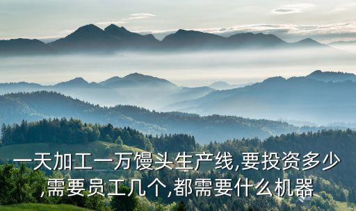一天加工一萬(wàn)饅頭生產(chǎn)線,要投資多少,需要員工幾個(gè),都需要什么機(jī)器