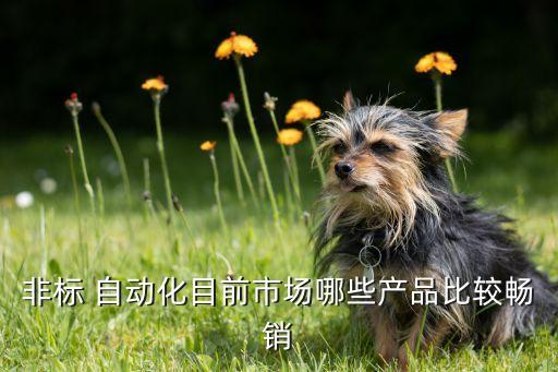 非標(biāo) 自動(dòng)化目前市場(chǎng)哪些產(chǎn)品比較暢銷