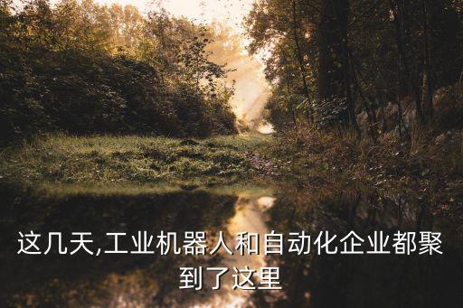 這幾天,工業(yè)機器人和自動化企業(yè)都聚到了這里
