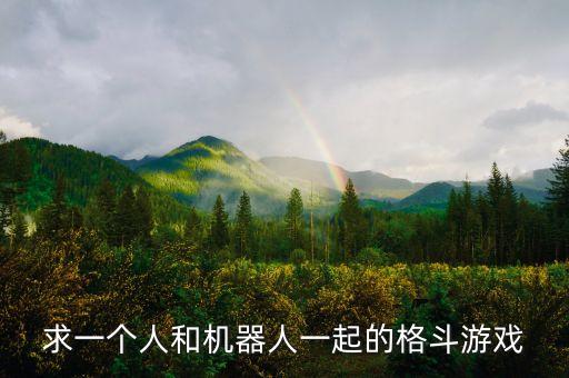 求一個(gè)人和機(jī)器人一起的格斗游戲