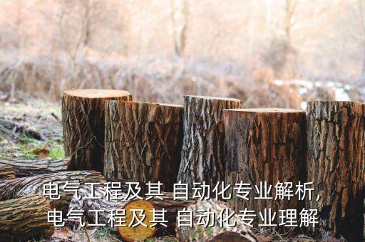  電氣工程及其 自動(dòng)化專業(yè)解析, 電氣工程及其 自動(dòng)化專業(yè)理解