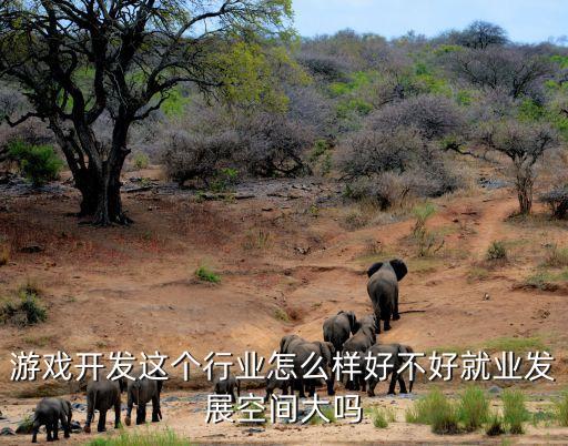 游族網(wǎng)絡(luò)大數(shù)據(jù)服務(wù),游族網(wǎng)絡(luò)發(fā)展歷程回顧
