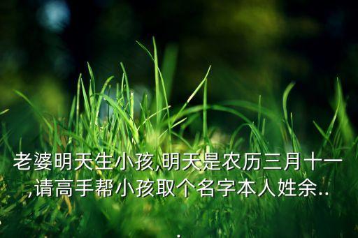 余志高武漢自動(dòng)化公司