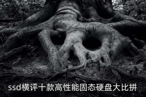 ssd橫評十款高性能固態(tài)硬盤大比拼