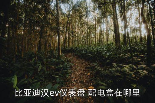 比亞迪漢ev儀表盤 配電盒在哪里
