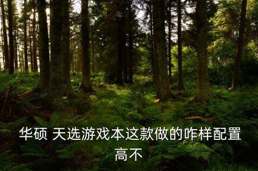  華碩 天選游戲本這款做的咋樣配置高不