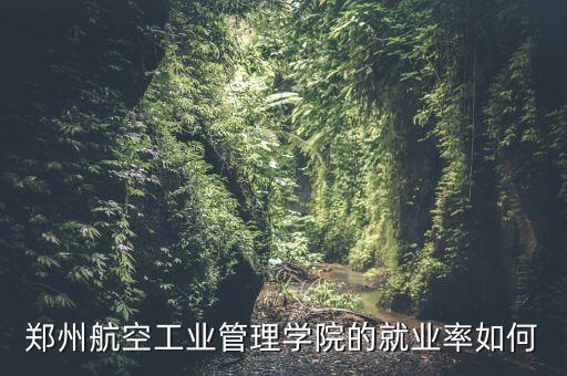 鄭州航空工業(yè)管理學(xué)院的就業(yè)率如何
