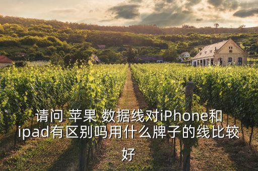 網(wǎng)易蘋果數(shù)據(jù)線好不好,pisen蘋果數(shù)據(jù)線
