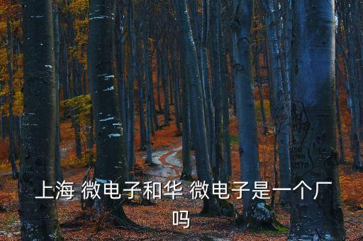  上海 微電子和華 微電子是一個(gè)廠嗎