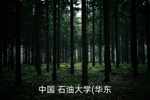 石油大學(xué)電氣自動化怎么樣,東北石油大學(xué)秦皇島校區(qū)電氣自動化技術(shù)