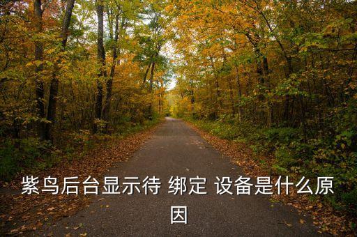 誠(chéng)億自動(dòng)化設(shè)備綁定600B,深圳誠(chéng)億自動(dòng)化設(shè)備有限公司怎么樣