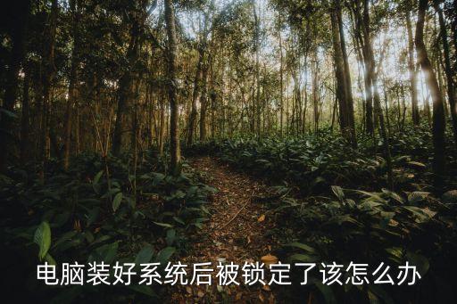 電腦裝好系統(tǒng)后被鎖定了該怎么辦